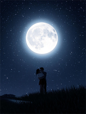 陳默李麗紅最新章節