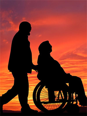 夏梔晏若霖後續